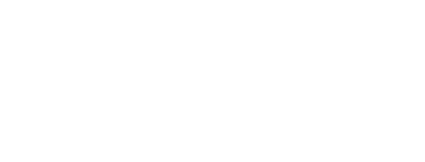 NOËL Parquet
