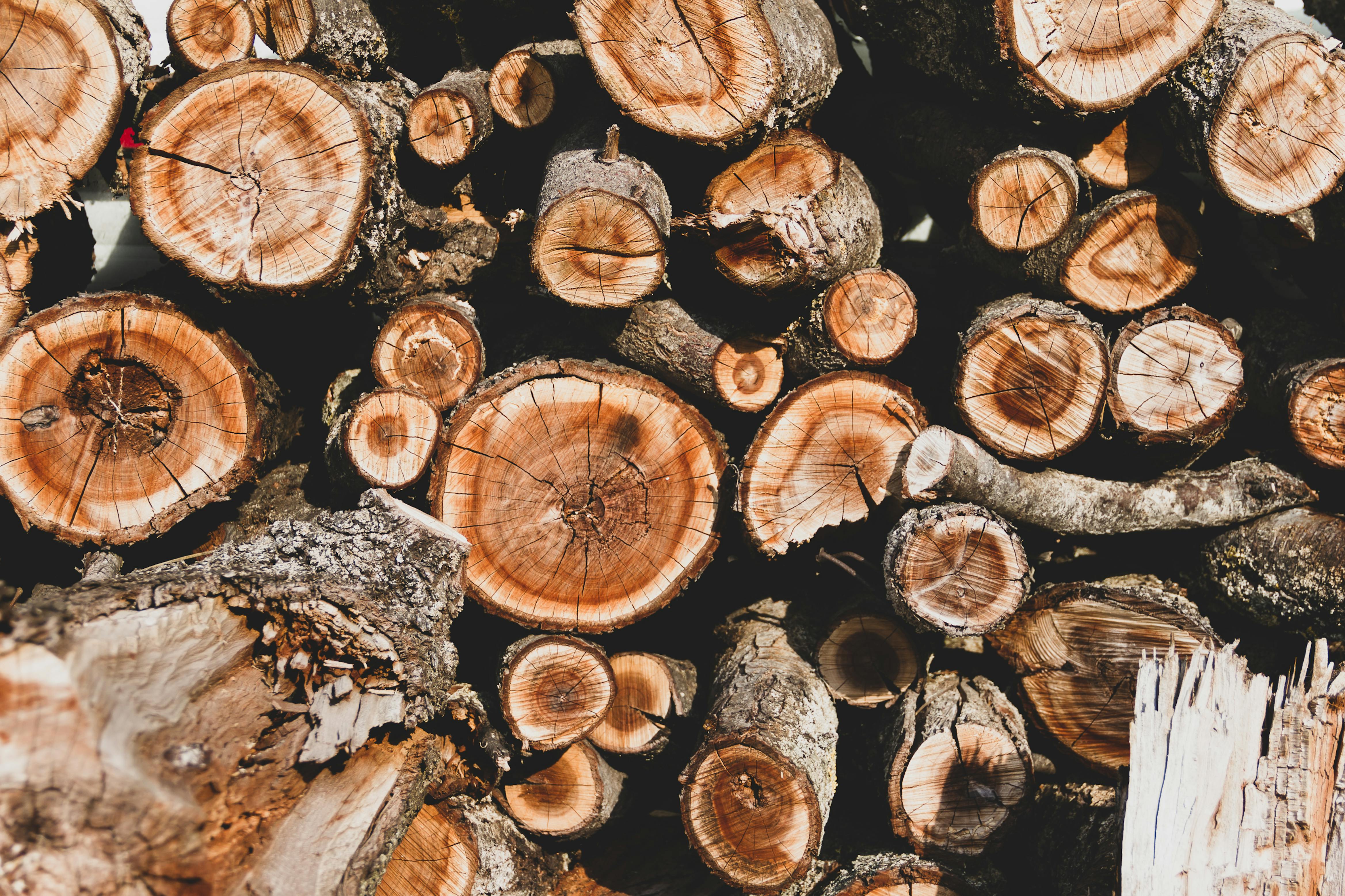 Woodgrain